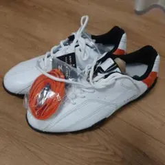 MIZUNO ゴルフシューズ 新品未使用 25.5EEE