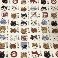 ☆図鑑シリーズ　猫模様☆１１０㎝×５０㎝ 生成り オックス生地　綿１００%