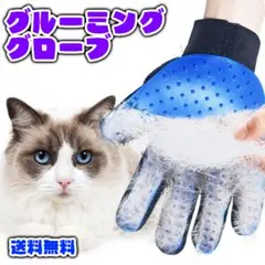 Item thumbnail for item 5c7fe488-2e8d-4233-9e00-562cf16f05d3