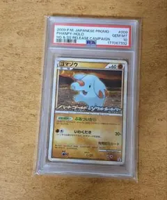 참깨 PROMO PSA10