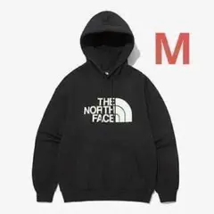 ノースフェイス ビッグロゴ パーカー M ブラック 韓国限定