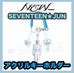 【即購入×】SEVENTEEN セブンティーン セブチ JUN ジュン グッズ 5種セット】SEVENTEEN PetiTEEN JUN ジュン 公式品 推し活 グッズ