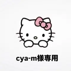 専用出品