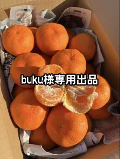 buku様専用出品