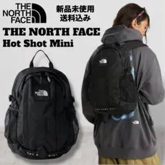 THE NORTH FACE Hot Shot Mini 新品未使用