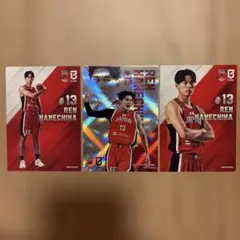 Bリーグカード アカツキジャパン 金近廉