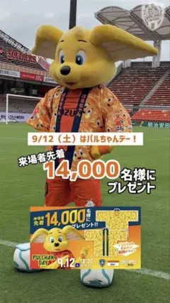 清水エスパルス パルちゃん 法被