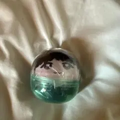 かぷっこふれんず　INI 後藤威尊