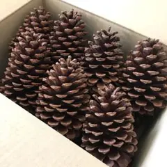 ＊　Mika 様　＊