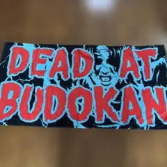 KEN YOKOYAMA 横山健 赤色 膝掛けタオル 1枚 日本武道館公演 2025年最新】横山健 タオルの人気アイテム - メルカリ