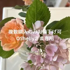 複数購入のみお値下げ可 OShellyさま専用
