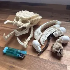 ミニエイリアンヘッド フィギュア　限定品 1077001532617674_01_4456w.jpeg