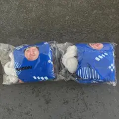 大相撲ガチャ　ミニ巾着　正代のサムネイル