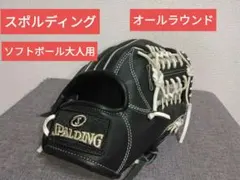 Item thumbnail for item 19b4befe-a716-4ee1-b523-44ef76d40966