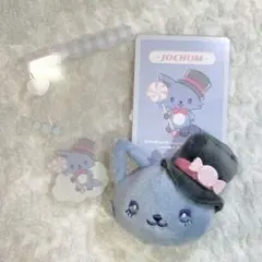 JOCHUM ジェオチャム　硬質カードケース　シークレットブローチ　レイン