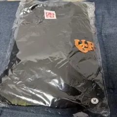 Item thumbnail for item d9f4afd3-c0a5-407d-8d54-e9187d46ff7d