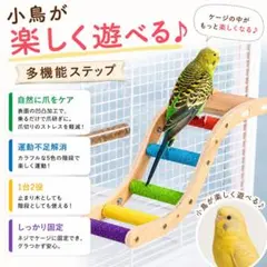 【ラスト1点】インコ 止まり木 階段 はしご 爪とぎ 小鳥 木製 鳥 ケージ