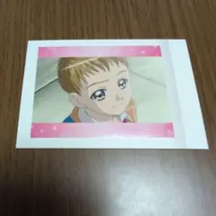 プリキュア5GoGo ぱしゃこれ 甘井シロー