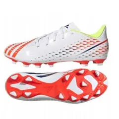 2025年最新】プレデターエッジの人気アイテム - メルカリ