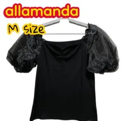 Item thumbnail for item 38eba31f-3c97-4282-96f4-edb5492083de