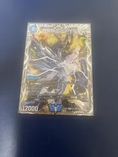 飛翔龍 5000vt 銀トレ 銀 3枚 飛翔龍5000VT(超銀トレジャー)【VIC】[DM25EX3 STR1/STR5]｜デュエル