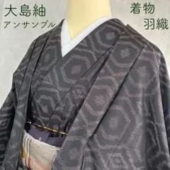 小紋　フルセット　大島紬　アンサンブル　着物　羽織　正絹　粋　J8