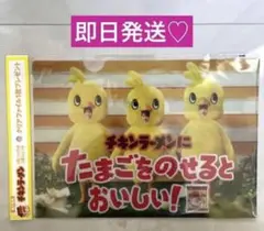 timelesz ❤️日清チキンラーメンクリアファイル ❤️タイムレス✴︎ひよこ組