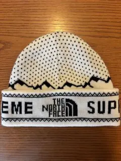 supreme THE NORTH FACE ニット帽