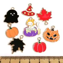 2点限り⭐ハロウィンアソート②.。.:*8個セット♡チャーム