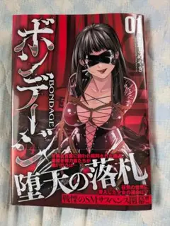 ボンデージ 01 さおとめやぎ 1回読了 送料込み