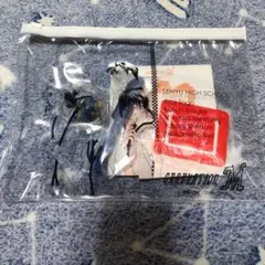 Item thumbnail for item 224cbbae-85e9-481d-bf62-a422fa26da46