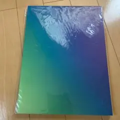 嵐　パンフレット　Beautiful World