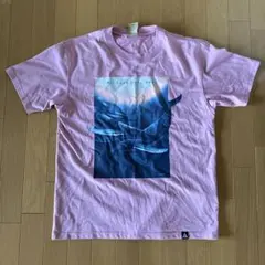NIKE ACG Tシャツ ピンク Mサイズのサムネイル