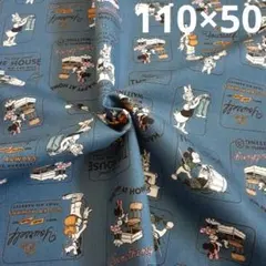 Item thumbnail for item 3b3cd16b-23d8-4bdb-8e25-dd88eeb4ad27