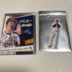 楽天イーグルス 松田 啄磨