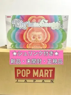 【正規品・未開封】ラブブBig Into Energy アソートボックス