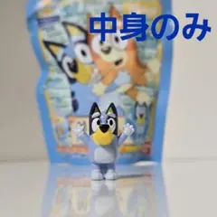 브루이 깜짝 달걀 브루이
