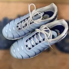 Nike Air Max Plus ブルー