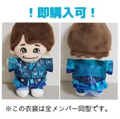 ！即購入可！　ぬい　衣装　バタフライ