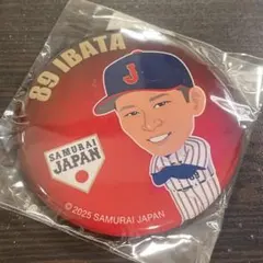 侍ジャパン 井端和弘 カンバッジ