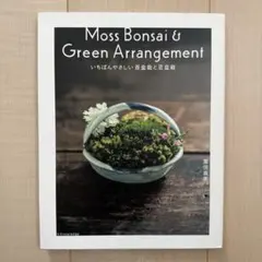 Moss Bonsai & Green Arrangement 苔盆栽と豆盆栽