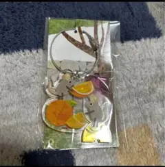 フレデリック レオ・レオニ コラボ アクリルキーホルダー