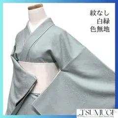 未着用　色無地　紋無し　パーティ　お食事会　グリーン　白緑　着物　045a d