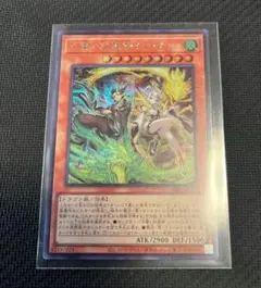 2026年最新】天雷ノ双風神シーナ シークレットの人気アイテム - メルカリ