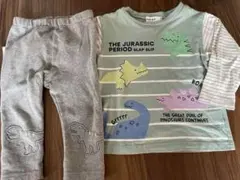 恐竜　長袖、ズボンのセット
