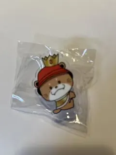 ありさ様専用NAOTO フラッグアクセサリー