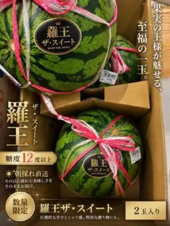 農家直送❗️熊本県産大玉スイカ羅皇ザ・スイート - メルカリ