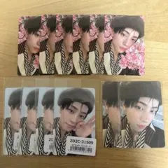 &TEAM TAKI 雪明かり　トレカ　12枚