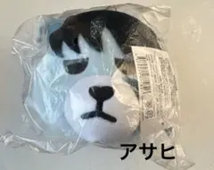 TREASURE KRUNK ぬいぐるみ パスケース アサヒ