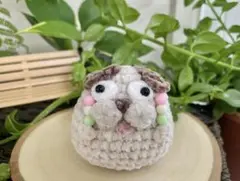 ふとっちょハムのふとっちょ〖大福〗 ふとっちょハムのふとっちょ〖大福〗 - メルカリ